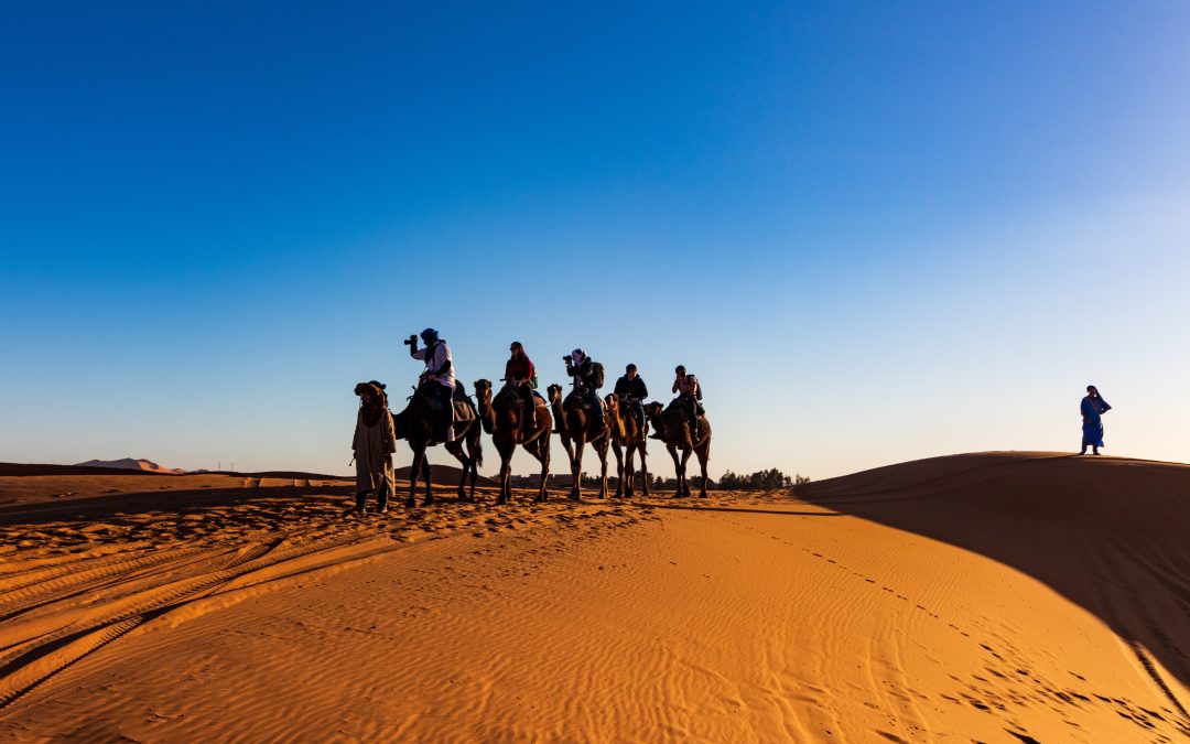 Un biologiste argentin dans le désert marocain – Récit